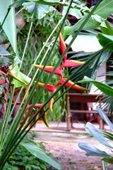 055_Fiorettini.jpg